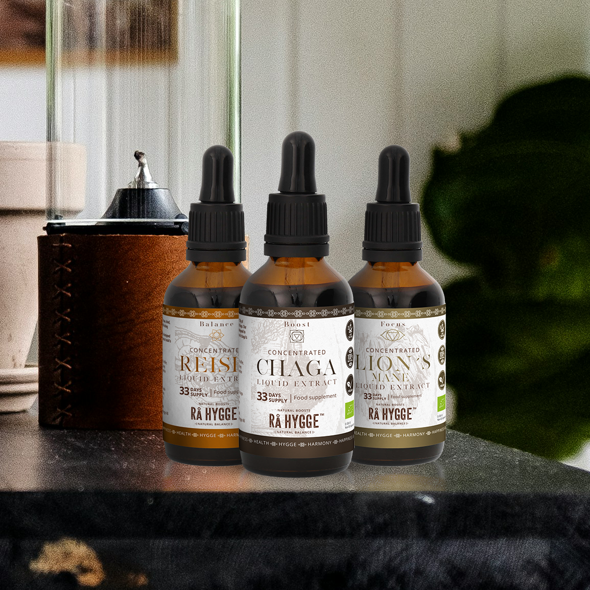 Nos élixirs associent la Crinière de Lion, le Reishi et le Chaga, soigneusement sélectionnés pour soutenir vos fonctions cognitives, 